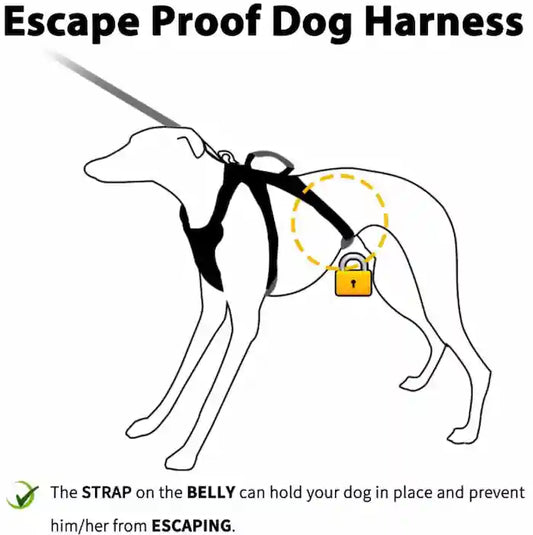 Instructional graphic for an escape-proof dog harness, showing a black line drawing of a dog wearing the harness with a yellow dashed circle highlighting the waist area and a small yellow padlock icon. Text explains that the strap on the belly holds the dog in place and prevents escaping.
