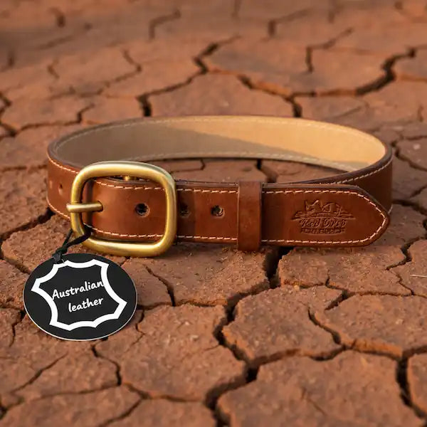 "Red Dirt Dogs Australian leather dog collar with solid brass buckle, photographed on red outback clay earth"