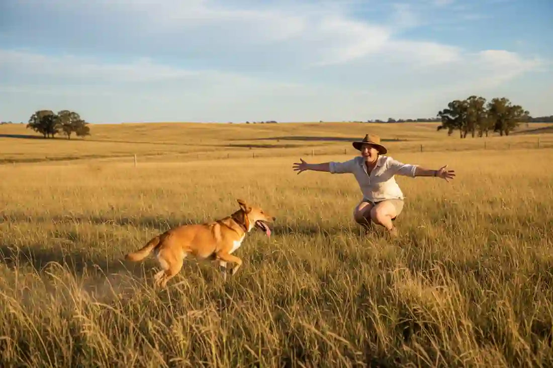 Person crouched in an open field calling their dog back during recall training in the Australian bush