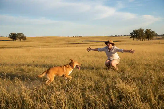 Person crouched in an open field calling their dog back during recall training in the Australian bush
