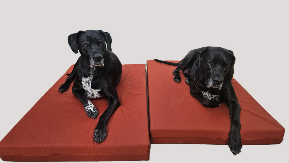Red Dirt Dogs Canvas Dog Bed — 700mm x 1100mm x 100mm