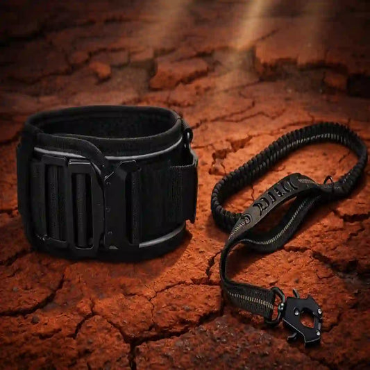 A black tactical-style Collar with a matching Leash With frog clip, placed on a cracked reddish-brown ground surface.