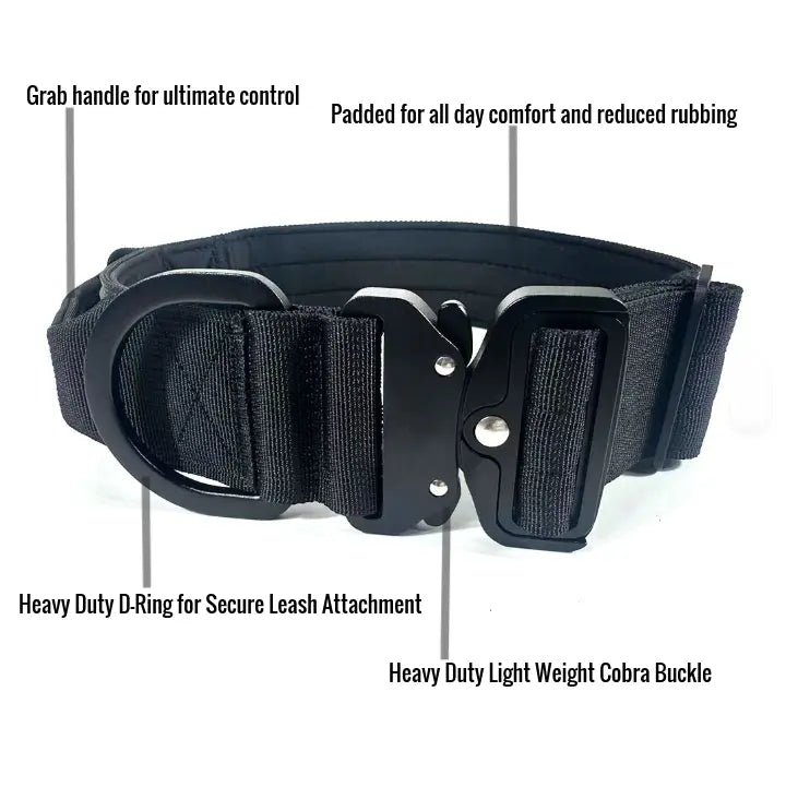 Black tactical dog collar with a heavy-duty D-ring and cobra buckle, shown with feature callout text labels on a white background.