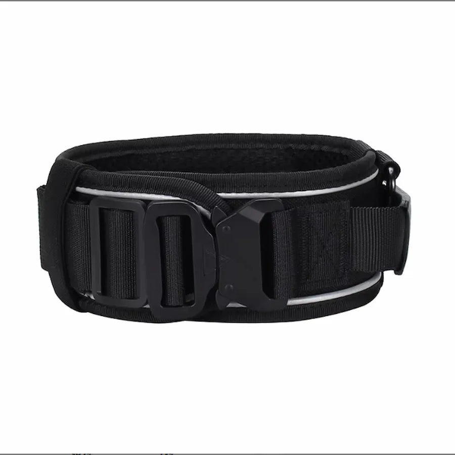 Black Collar with a large buckle on a white background