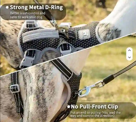 A close-up of a dog wearing a black mesh harness with gray straps and silver metal hardware, shown outdoors on a grassy field. The image is split diagonally into two panels with feature callouts: 'Strong Metal D-Ring' at the top and 'No Pull-Front Clip' at the bottom.