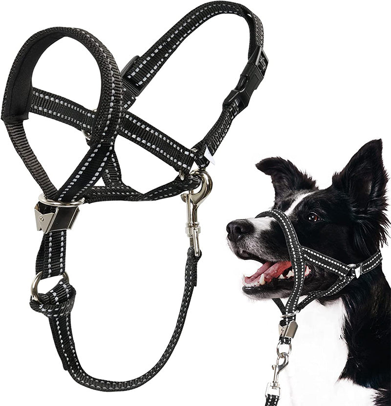 Black dog harness with a dog wearing it on a white background