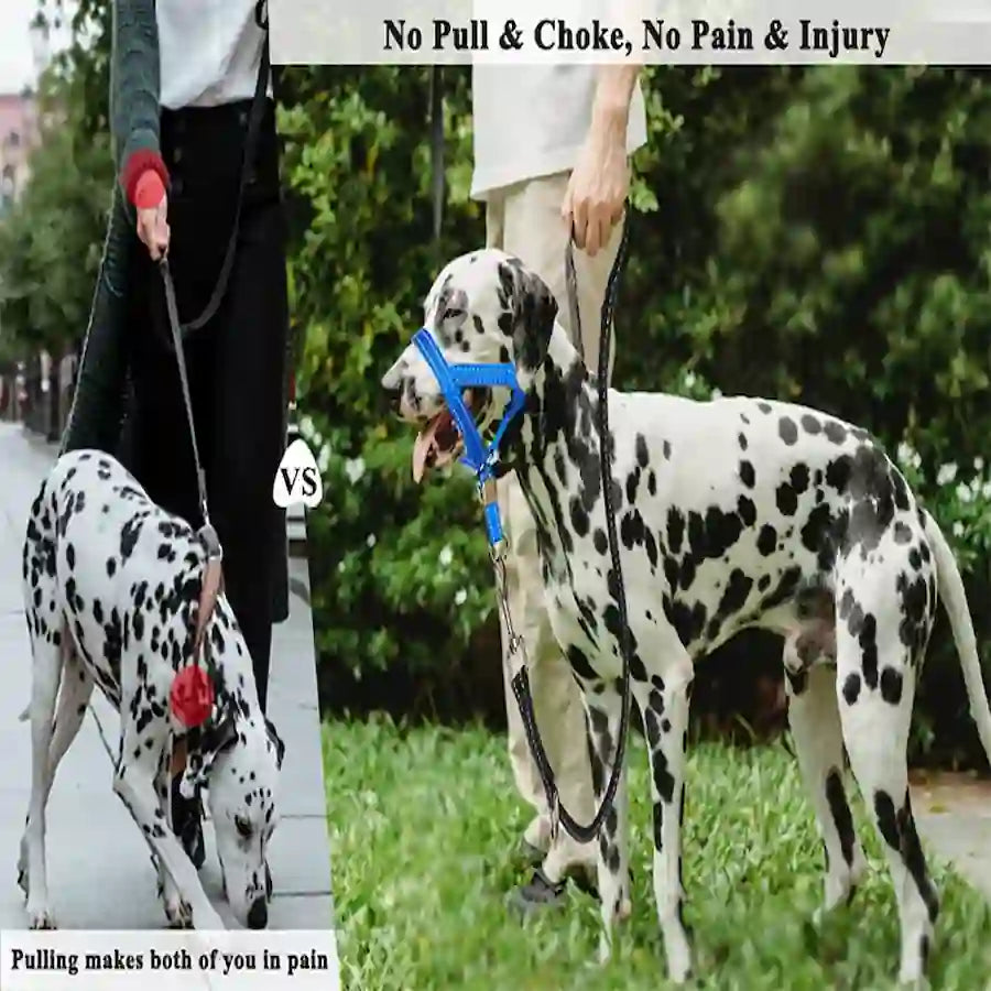 Two images showing a dog being walked with a blue harness, one labeled 'No Pull & Choke, No Pain & Injury' and the other with text about pain and injury.