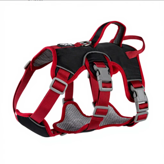 A red and black dog harness with gray mesh padding and silver plastic buckles, shown on a plain white background.