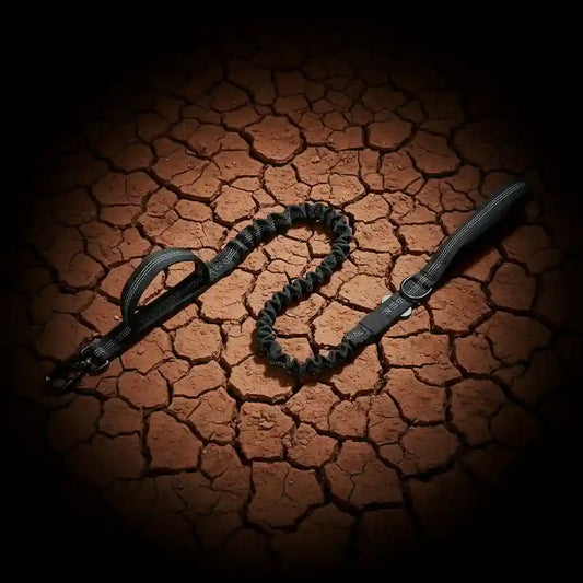 A black coiled bungee dog leash with matching handle and clip, laid on a cracked earth surface under dramatic spotlighting.