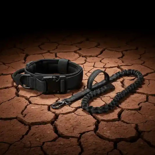 A black dog collar with an attached black bungee leash and metal clasp, placed on cracked brown earth under dramatic spotlighting.