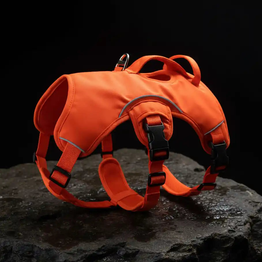 An orange dog harness with reflective trim and black plastic buckles, displayed on a dark wet rock against a black background.