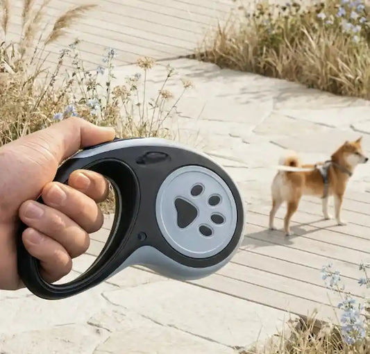 A hand holds a retractable dog leash with a paw-print design in the foreground, with a small dog standing on a wooden boardwalk in the background.