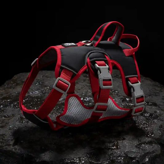 A red and black dog harness with gray mesh panels and silver plastic buckles, displayed on a wet dark rock against a black background.