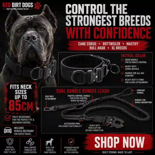 Promotional graphic for the Red Dirt Dogs Tacticalollar Dual Handle Bungee Leash, featuring a black Attentat dog wearing the collar on the left, and the leash and accessories displayed on the right against a black background with red and white text.