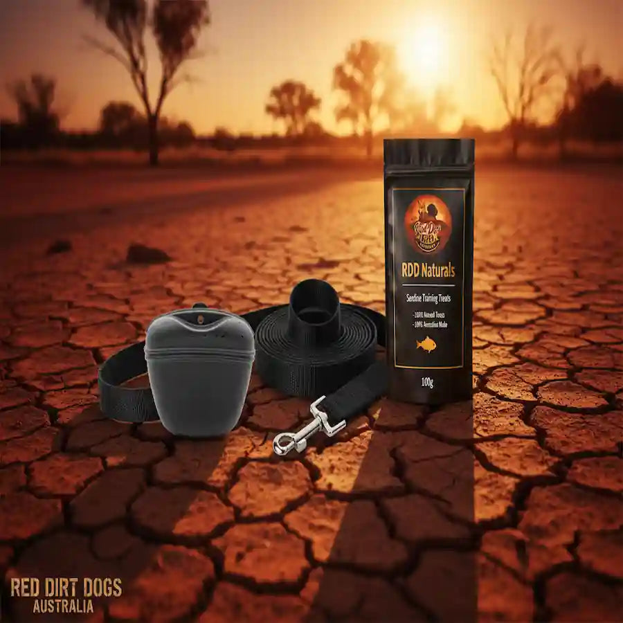 A dog training tool set displayed on dry cracked earth at sunset, including a gray plastic bucket, a black strap, a metal clip, and a black pouch labeled 'K9 Naturals'.