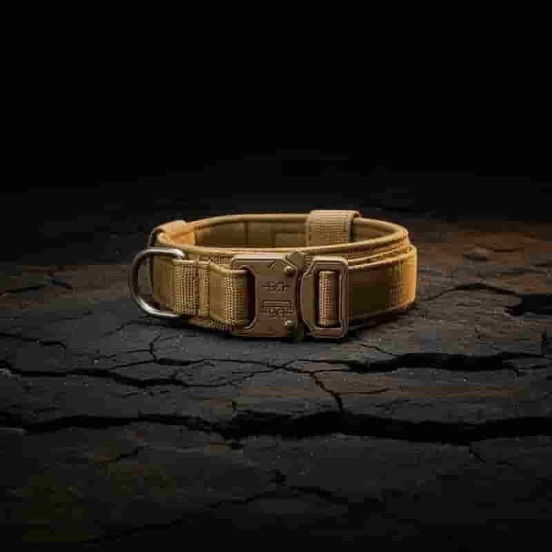 A tan tactical dog collar with a heavy-duty metal buckle and D-ring, displayed on a cracked dark ground surface against a black background.