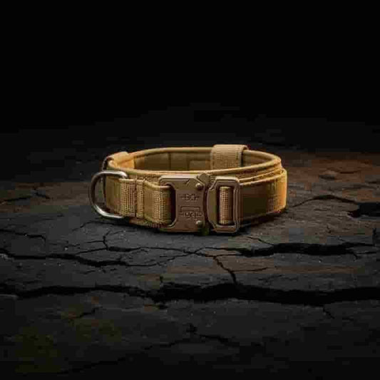 A tan tactical dog collar with a heavy-duty metal buckle and D-ring, displayed on a cracked dark ground surface against a black background.
